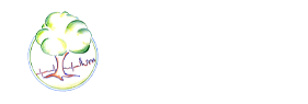 Hausarztpraxis Dr. med. Peter Brand